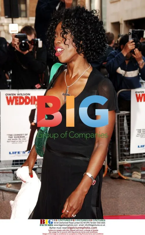 Heather Small at The Wedding Crashers Premiere