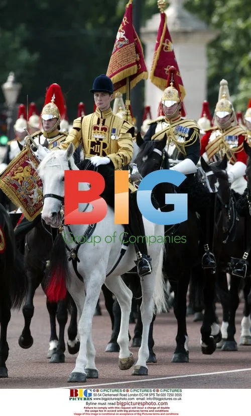 Queen and Royals at WWII Commemoration Show