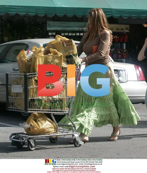 Kirstie Alley and son William shopping