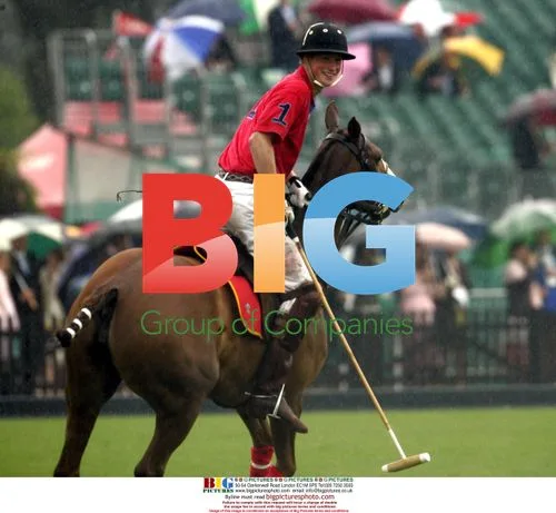 Prince Harry Wins Polo Match
