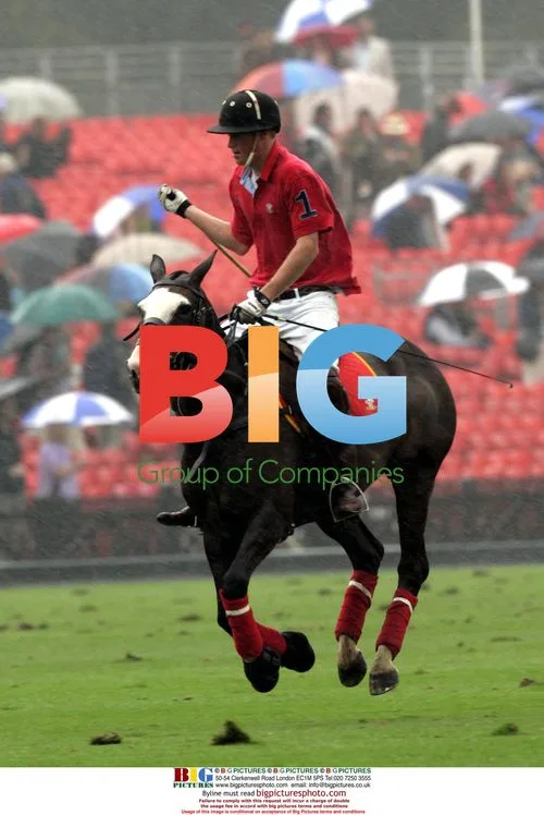 Prince Harry Wins Polo Match