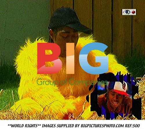 Big Brother 6 Eviction Night