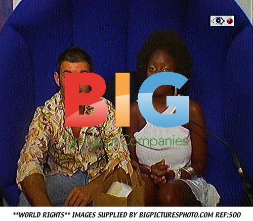 The Diary Room Feather Duster Attack