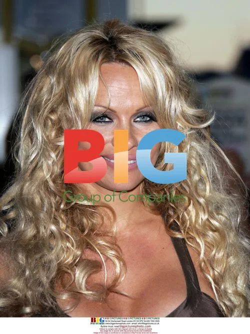 Pamela Anderson at FOX Summer 2005 Press Tour