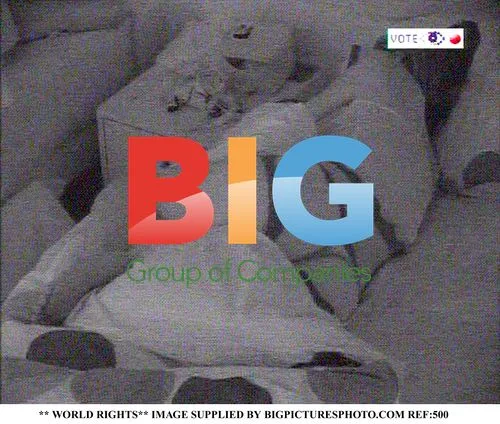 Big Brother 6 Housemates