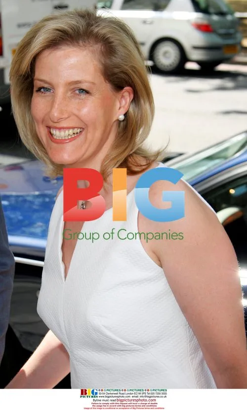 Sophie Wessex Arrives at Charity Function