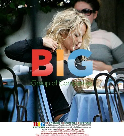 Pamela Anderson and Stephen Dorff lunch in Malibu