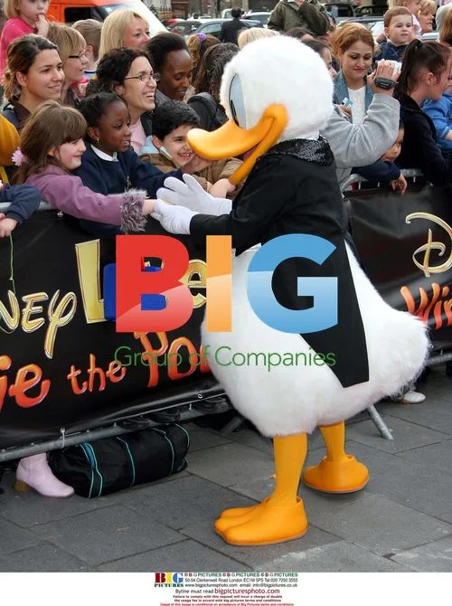 Donald Duck at Winnie the Pooh Charity Show