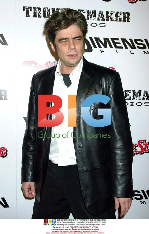 Benicio Del Toro at Sin City Premiere