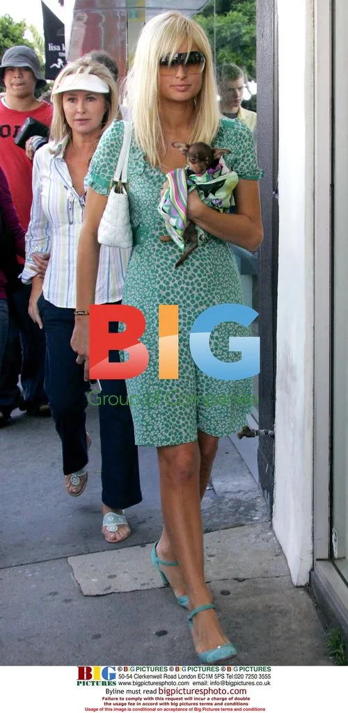 Paris Hilton Goes Shopping With Family