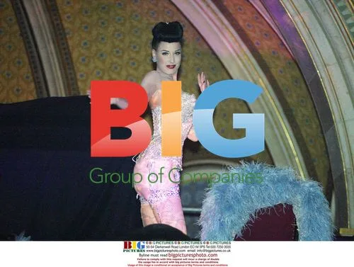 Dita Von Teese at Vienna Lifeball 2005