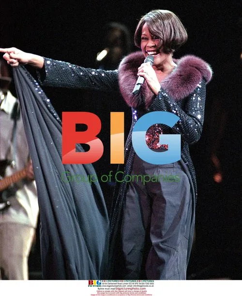 Whitney Houston Performs at The Wang Center
