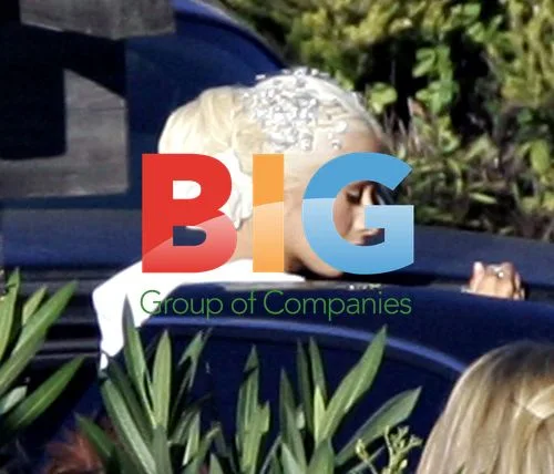 Christina Aguilera's Wedding in Napa
