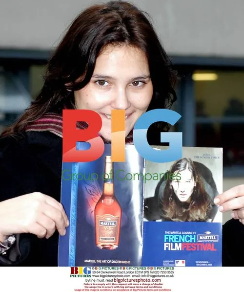 Virginie Ledoyen at Martell Cognac IFI Film Festival