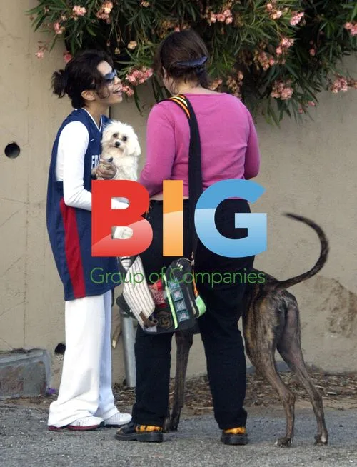 Eva Longoria walks her dog