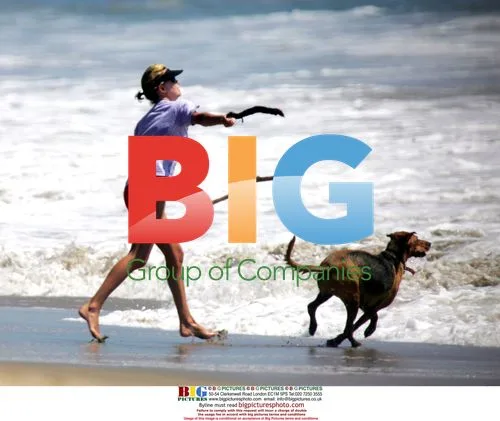 Charlize Theron Relaxing at Beach with Dogs