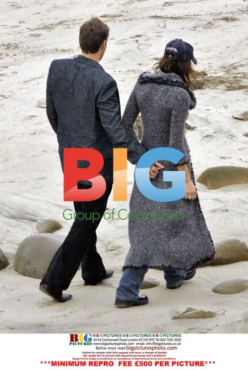 Teri Hatcher and Ryan Seacrest's Romantic Date