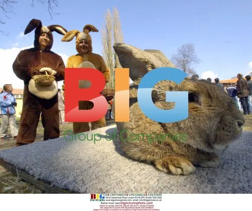 Giant Rabbit Rudi Rammler at Easter Launch