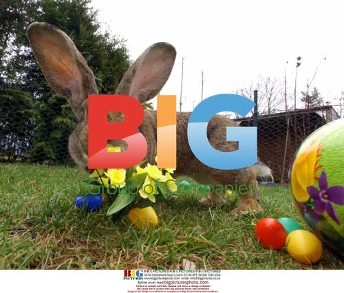 Giant Rabbit Rudi Rammler at Easter in Berlin