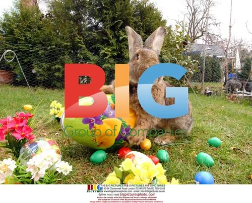 Giant Rabbit Rudi Rammler Helps Launch Easter in Berlin
