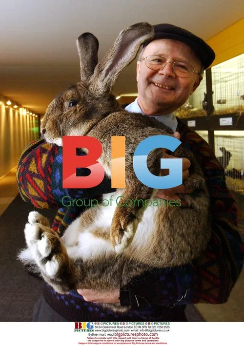 German Man Holding World's Biggest Rabbit