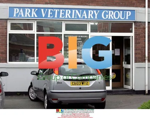 Charlotte Church Takes Puppies to Vet