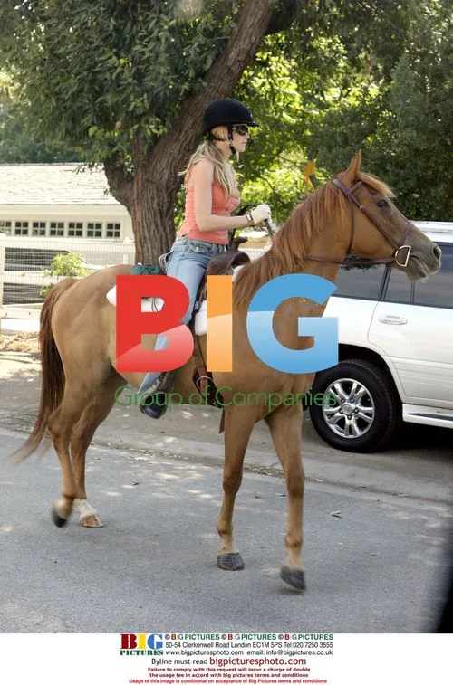 Denise Richards Bonds With Horses