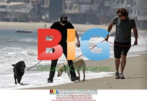 Barry Manilow Strolls on Beach with Dogs