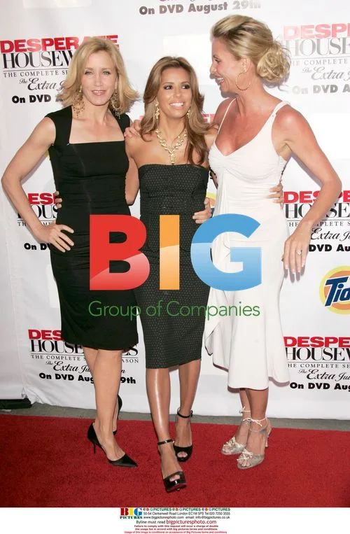 Desperate Housewives DVD Launch
