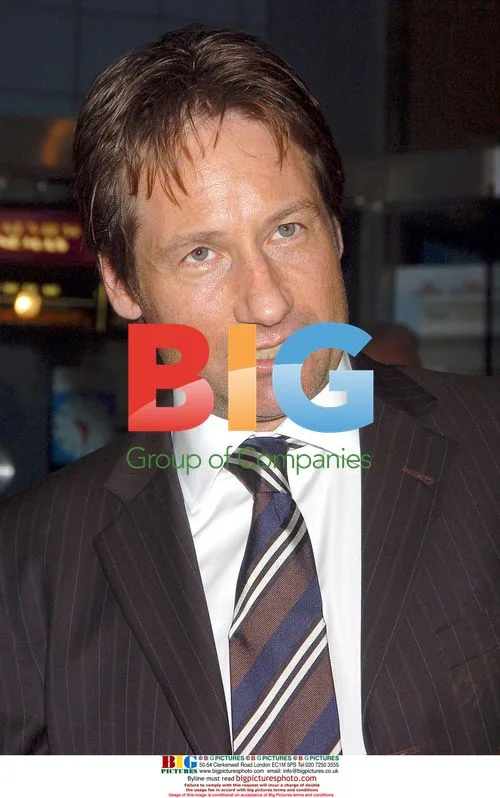 David Duchovny at "Trust the Man" Premiere