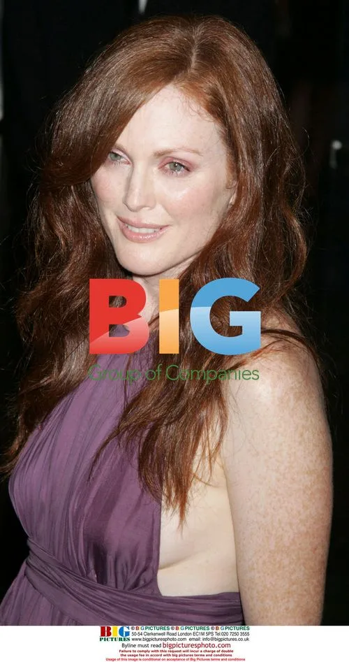 Julianne Moore at Trust The Man premiere
