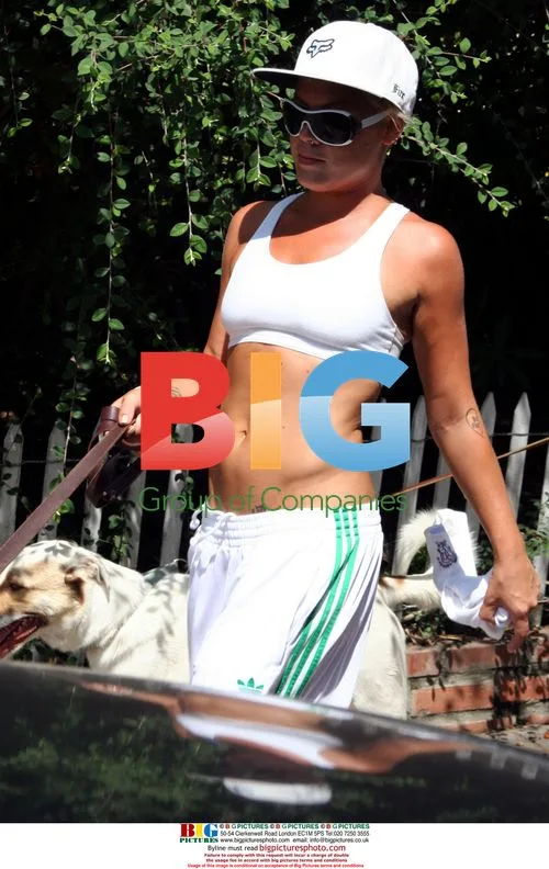 Pink and Carey Hart Walking Dogs