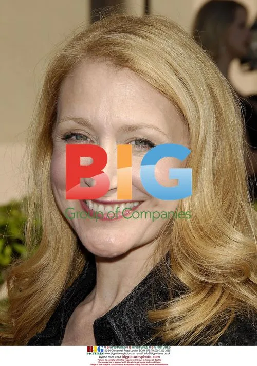 Patricia Clarkson at 2006 Creative Arts Emmys