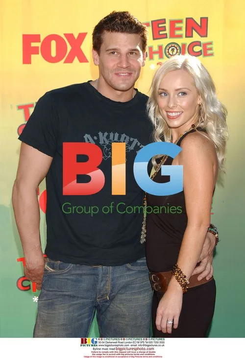 Actors DAVID BOREANAZ and JAMIE BERGMAN at 2006 Teen Choice Awards