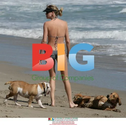 Charlize Theron plays with dogs on Malibu beach