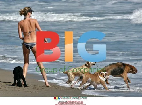 Charlize Theron on the beach with dogs