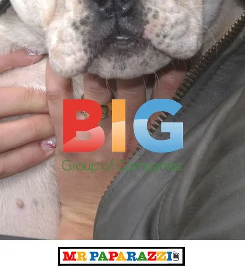 Big Brother 7 Contestant Grace Adams with Dog