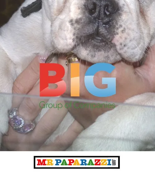 Big Brother's Grace Adams with Dog