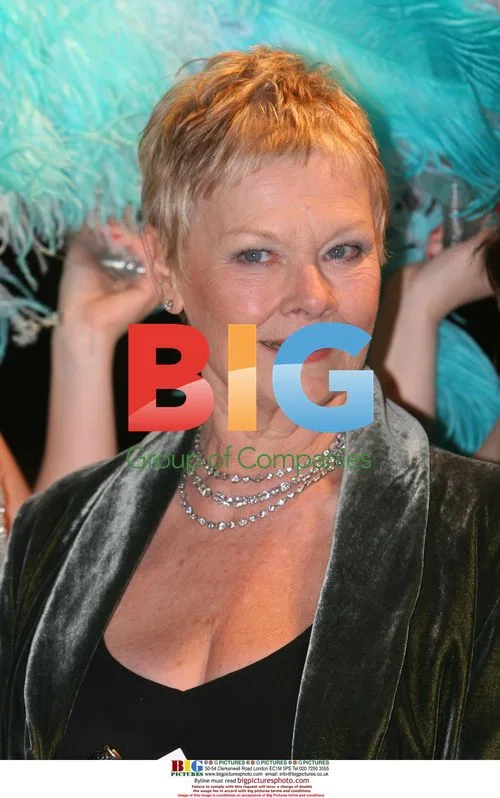 Dame Judi Dench at UK premiere of Mrs Henderson Presents
