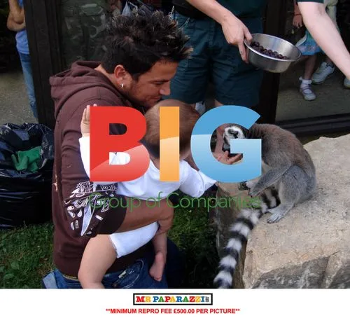 Katie Price and Peter Andre Family Zoo Trip