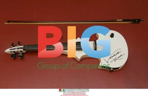 Vanessa Mae's White Electric Violin to be Auctioned