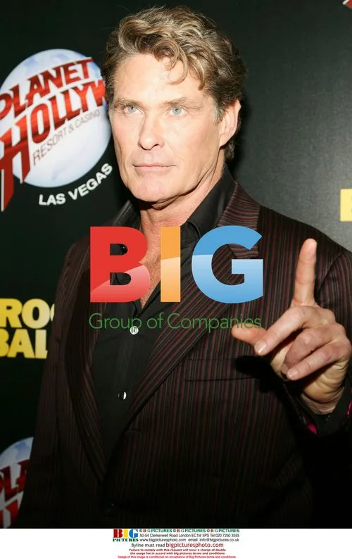 David Hasselhoff at 'Rocky Balboa' premiere
