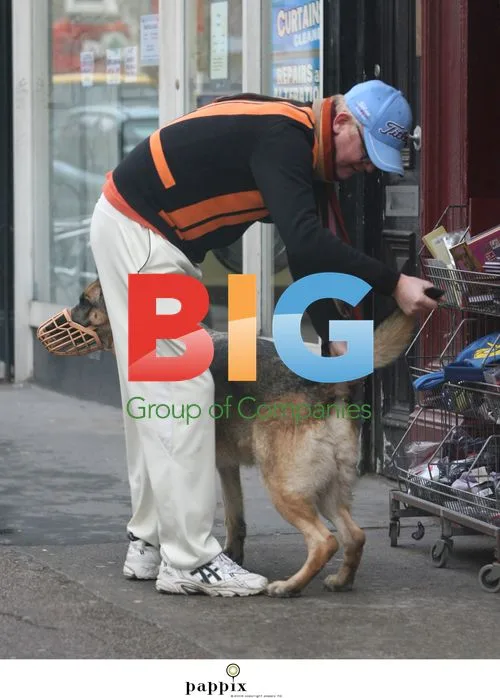 Chris Evans Grooms Dog on Street