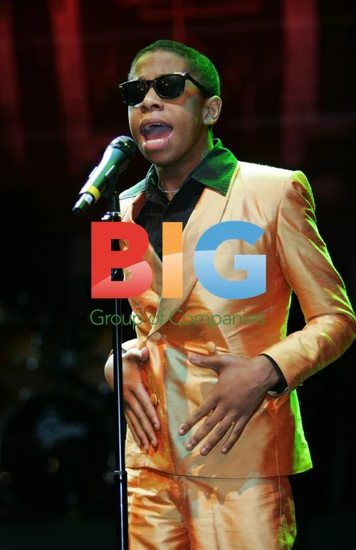 James Bellamy cast as Stevie Wonder in 'Dancing in the streets'