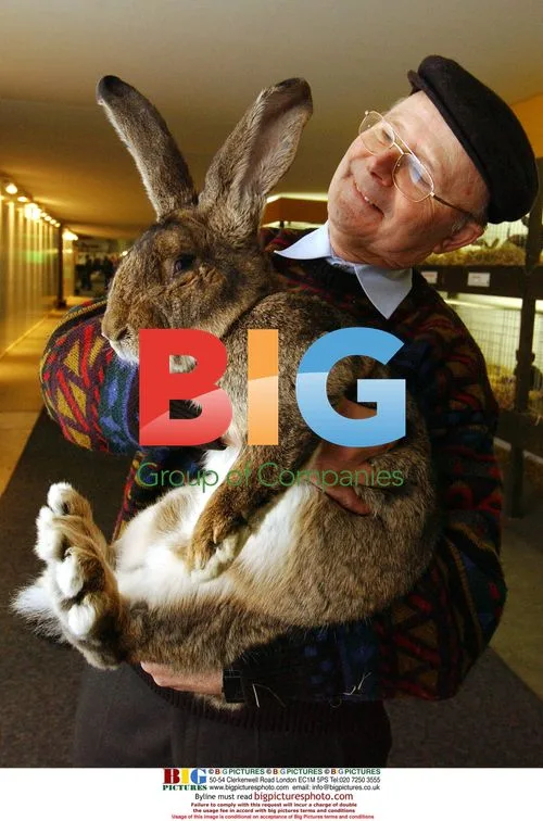 German Man Holds World's Biggest Rabbit
