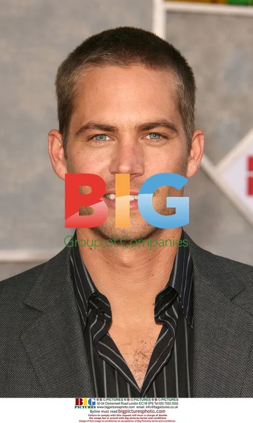 Paul Walker at Eight Below Premiere
