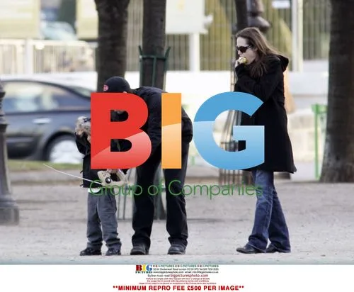 Brad Pitt, Angelina Jolie, and son Maddox enjoy day out
