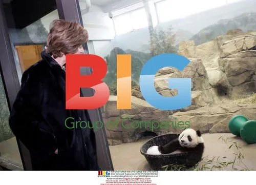 Laura Bush Visits Mei Xiang and Tai Shan