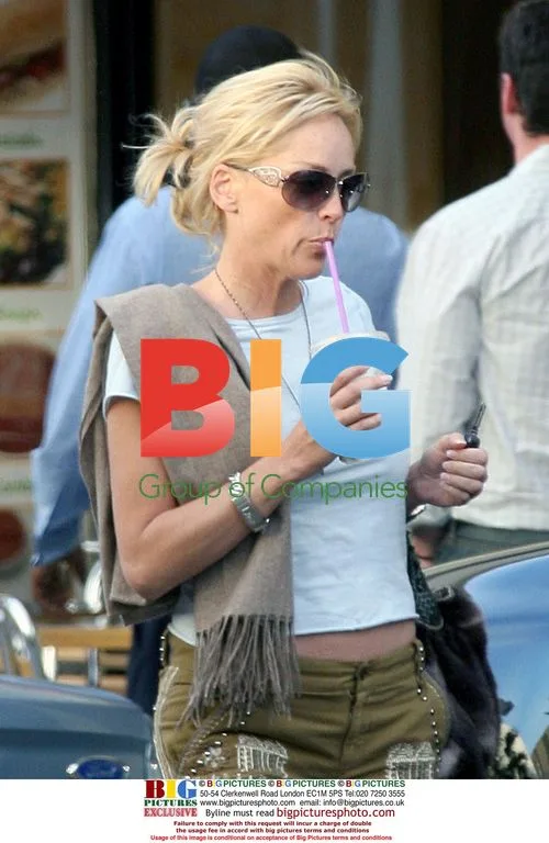Sharon Stone's Busy Day in Questionable Pants