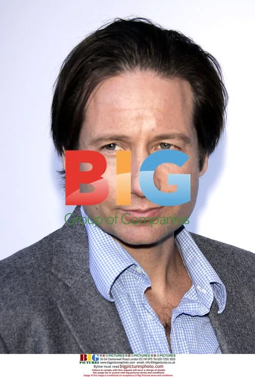 David Duchovny at BAFTA/LA Tea Party
